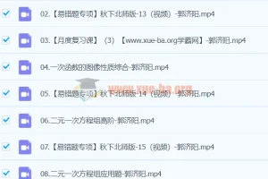 2024初二数学 郭济阳 北师版A+秋季班 下