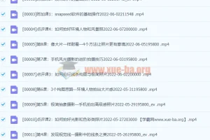 【杨精坤】手机进阶提升训练营 手机风光摄影的进阶拍摄技巧-手机摄影21天提升训练营拍出有意境的照片