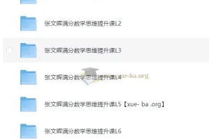 张文晖满分数学思维提升课L1-L6