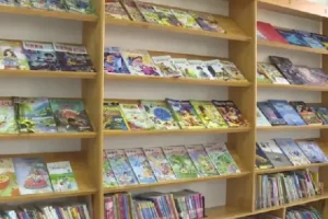 社科图书精品【甲骨文书单（500册）】