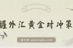 掌握外汇黄金对冲策略，日赚 800 – 2000，小众高回报创业机会，助你实