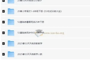 小儿郎 小学语数英学习资料包·53系列 (2025春)