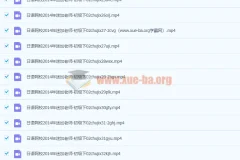 日语网校 迷加老师 日语初级下 视频教程 教学视频