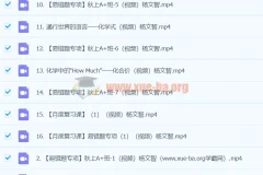 2024初三中考化学 杨雯智 A+暑假班