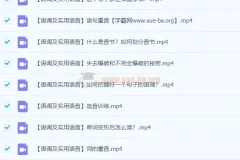 赖世雄美式发音学习课38讲