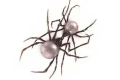 Doja Cat《Scarlet》[无损FLAC/MP3/714MB]