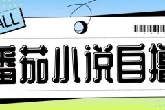 最新番茄小说自撸玩法，无需手机，无需双清，成本极低日入200+