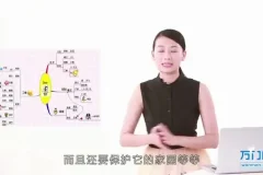世界记忆大师：快速提升记忆力的终极指南