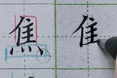 硬笔楷书偏旁部首规律精讲（中级135集）