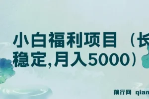 搏金汇第26课：小白福利项目（长久稳定，月入5000）