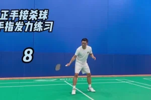 迪迪王羽毛球进阶课：双打战术+假动作+30天训练（210节）