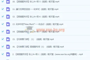 2024初三中考化学 杨雯智 A+暑假班