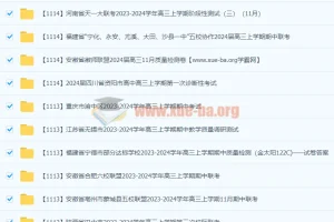 2024高中 高三名校试卷合集11月