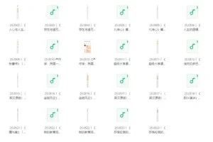 《每天听本书》2025年5月合集，高效获取知识的音频书精华打包