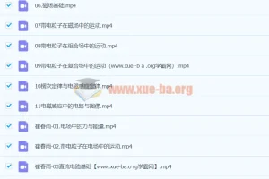 2024高三高考物理 崔春雨 秋季班