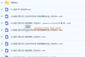 2024高三高考物理 何连伟 A+寒假班