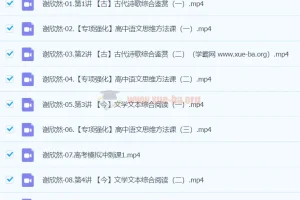 2024高三高考语文 谢欣然语文 二轮精讲春季班