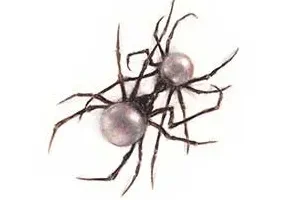 Doja Cat《Scarlet》[无损FLAC/MP3/714MB]