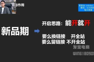 拼多多运营实战课：车神陪跑一对一，快速起量全攻略