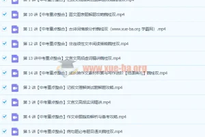 2020暑 魏桂双 初二升初三【语文】