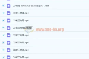 2021春 初三物理 杜春雨