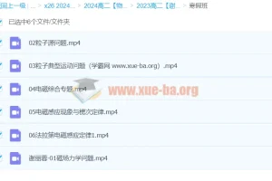 2024高中物理 高二物理 谢丽荣 寒假班