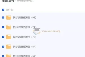 初中数学同步试题资源包 (人教版)