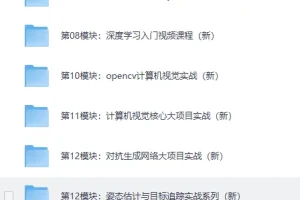 《路飞Python人工智能AI工程师》[MP4]