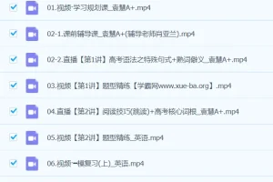 袁慧英语 2024高三高考英语A+春季班