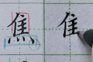 硬笔楷书偏旁部首规律精讲（中级135集）