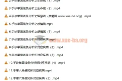 【道御堂】道御堂手诊初高级课程合集