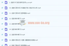 2024高三高考物理 何连伟 A班秋季班