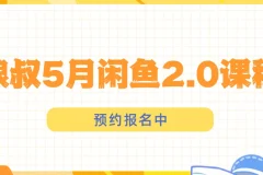 狼叔闲鱼2.0课程