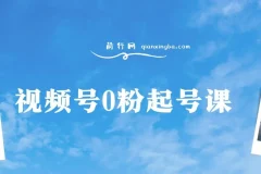 视频号0粉起号课程 实操带上起号 把你的货盘搬视频号 自然流结合微付费