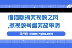 借猫咪搞笑视频之风，掀视频号爆笑故事潮，轻松日入四位数，无门槛快速入门!
