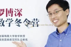 数学冬令营(小学阶段)