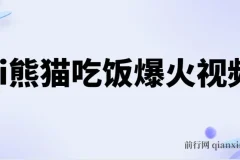 Ai熊猫吃饭爆火视频 原创作品 轻松日入300+ 简单易懂