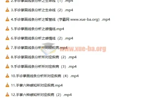 【道御堂】道御堂手诊初高级课程合集