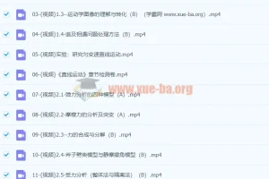 2024高三高考物理 【舟道物理】一轮复习（基础巩固，拓展考点模型）