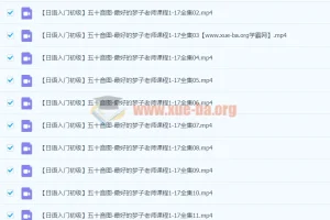 【日语入门初级】 五十音图 最好的梦子老师课程1-17全集 视频教程 教学视频