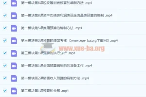 徐欣：全面预算的编制执行与控制
