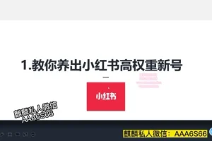 小红书高权重账号养成与精准引流秘籍