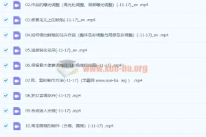 不负芳华，花卉摄影技法完全宝典后期课程