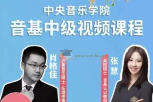 新版中央音乐学院中级音基视频课