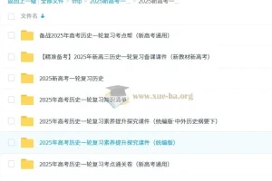 2025 高考历史 新高考 一轮复习