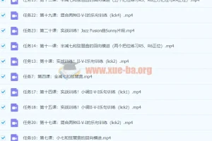 伍凌枫琶音训练营+前卫吉他编配与创作