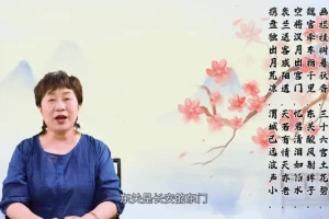 申怡大语文：诗词五千年深度解析