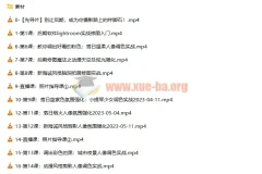 2023人像修图调色实战训练营