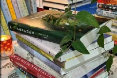 100本精选生活实用图书合集，提升技能与生活品质