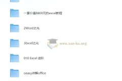 大厂内训最强office教程大合集 原价8888打工人必备 [34G]